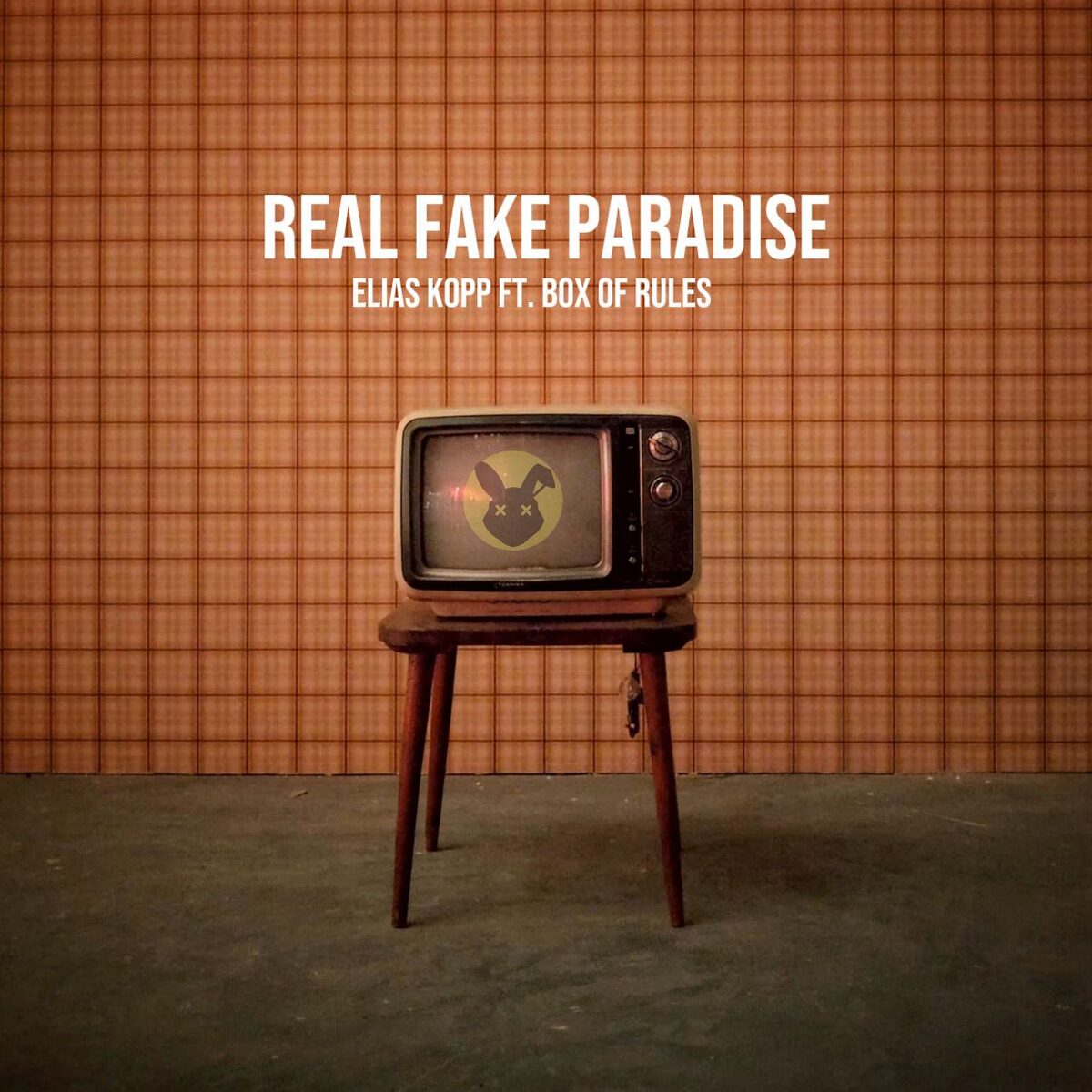 Real Fake Paradise single artwork — Elias Kopp ft. Box of Rules